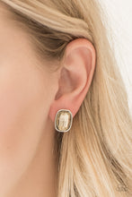 Load image into Gallery viewer, Incredibly Iconic Brown Earrings
